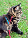 The Day Tripper Adjustable H-Style Harness for Cats - NEW!!!