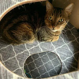 Happystack® Modular Cat Condo - Trellis Model - Regular Sized Doorway Openings