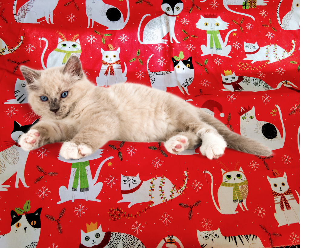 Cheezecat Holiday Cats! Refillable Catnip Play Mat