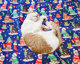 Cheezecat Holiday Cats! Refillable Catnip Play Mat