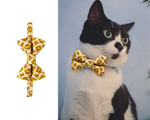 The Wild Thing Matching Detachable Bow Tie & Collar Set