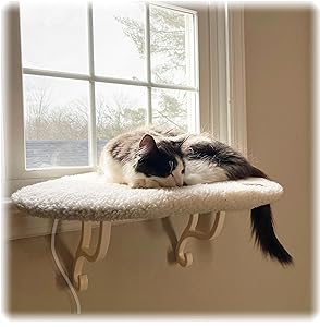 Window Kitty Sill