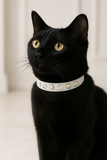Deluxe White Pearl & Crystal Cat Breakaway Collar - 2 Sizes Available -NEW!!!