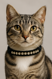 Black Velvet Cat Breakaway Collar - 2 Sizes Available -NEW!!!