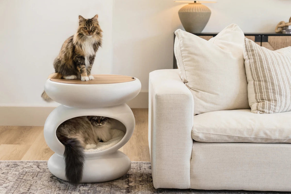 Zen Side Table & Cat Haven - NEW!!!