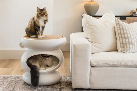 Zen Side Table & Cat Haven - NEW!!!