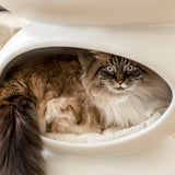 Zen Side Table & Cat Haven - NEW!!!