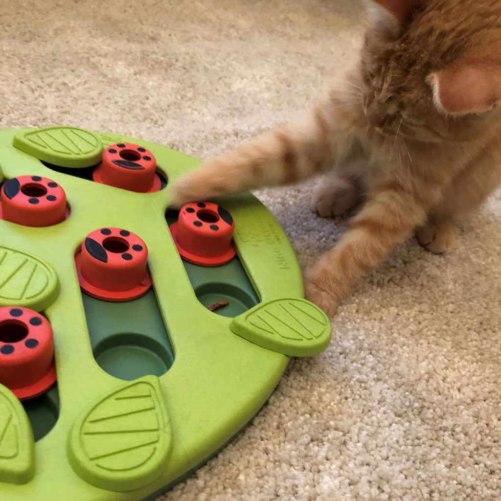Nina Ottosson Buggin' Out Puzzle & Play Cat Game