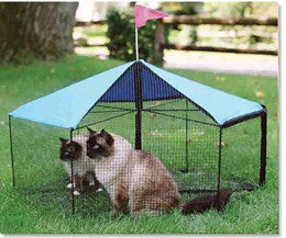 Kittywalk outdoor top cat enclosure