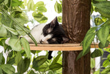 CatHaven™ Two Tier Medium Cat Tree - SPECIAL PRICE!