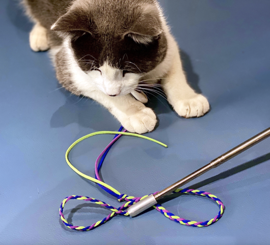 Cat Tail Telescopic Teaser Toy  SPECIAL PRICE LIMITED TIME ONLY