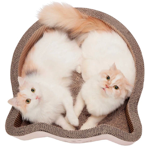 Cat Head Scratcher Bed Low Stock