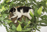 CatHaven™ Single Tier Cat Tree - Square Base - SPECIAL PRICE!