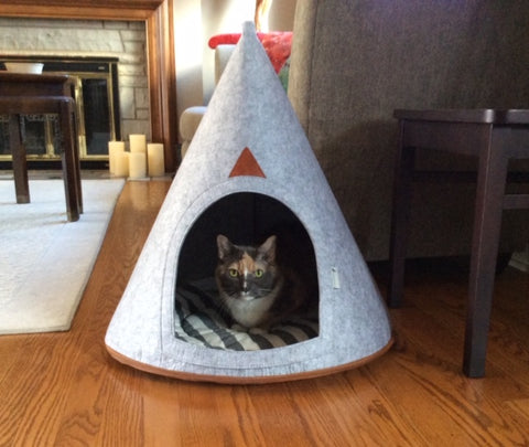 Lucy Cat Cave
