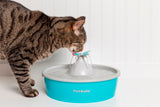 Drinkwell Butterfly Cat Fountain