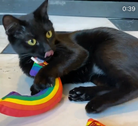 Yeowww!  Catnip Rainbow Toy
