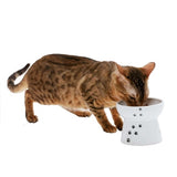 Stress-Free Tilted, Raised Porcelain Cat Food Bowl, Water Bowl and Dining Tray Set - NEW!!!