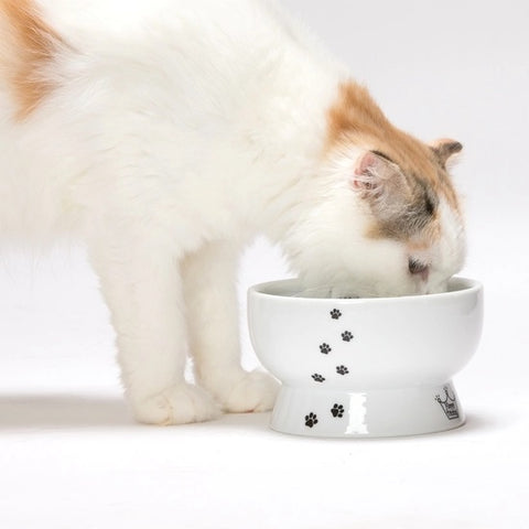 Stainless Steel Cat Bowl 200ml Cat Water Bowl Multifunction Food And Water  Bowl Pink