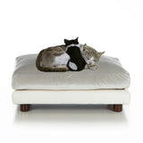 Soho Milo Cat Orthopedic Bed by Club Nine - NEW!!!