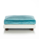 Soho Milo Cat Orthopedic Bed by Club Nine - NEW!!!
