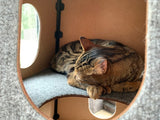 Happystack® Modular Cat Condo - Square Model Tan - Regular Sized Doorway Openings
