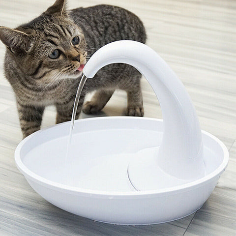 The Swan Cat Drinking Fountain