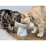 Stress-Free Tilted, Raised Porcelain Cat Food Bowl - NEW!!!