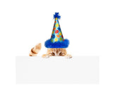 Party Time Party Hat - NEW!!!