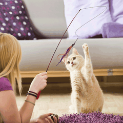 Teasers &amp; Interactive Cat Toys